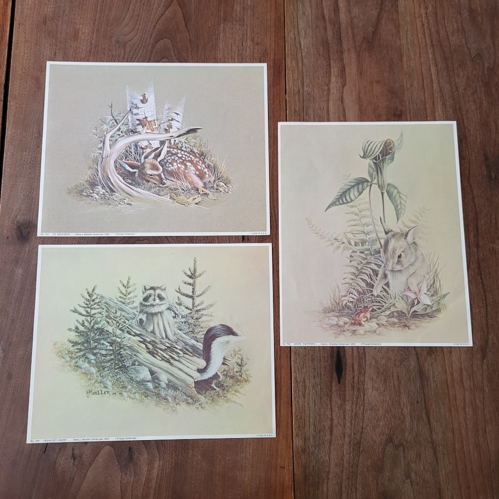 Vintage 3 Harry Moeller Lithographs Cute Animals